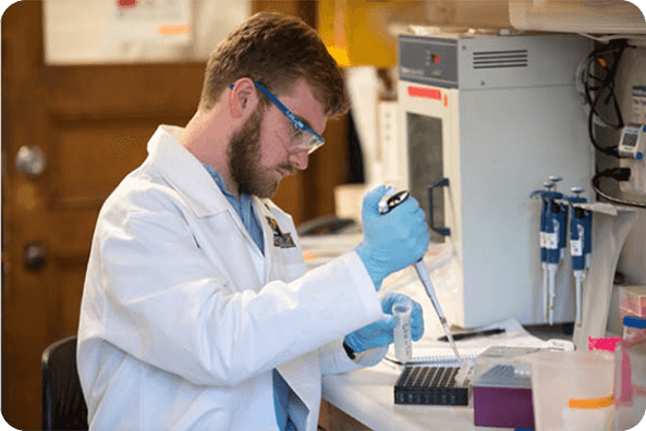 Photograph of technician working in the TickReport lab